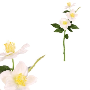 Čemeřice - umělá řezaná květina, krémová