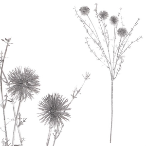 Bodlák - umělý větev, stříbrná matná