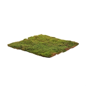 Mech - umělá přízdoba, koberec 50 x 50 cm, zelená