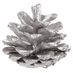 Šiška pravá - barva stříbrná, cena za balení (6 ks)