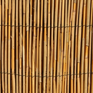 Rohož plotová rákos 130x500 cm