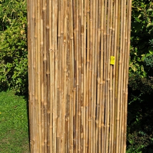 Bambusový plot 150x300 cm