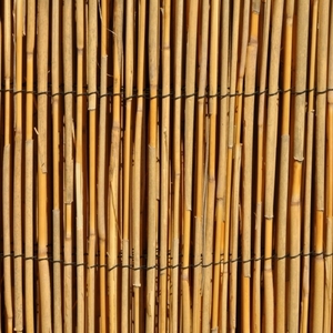 Rohož plotová rákos 100 x 500 cm