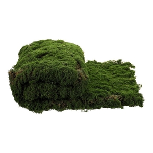 Mech - umělá přízdoba, koberec 100 x 100 cm, tm. zelená