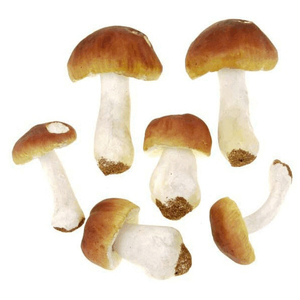 Houba - hříbek, umělá dekorace, mix druhů, cena za balení (6 ks)