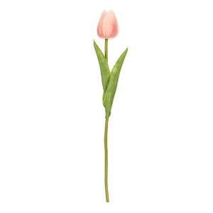 Tulipán pěnový - umělý řezaný, barva lososovo-bílá