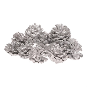 Šišky - pravé borovicové, stříbrné, cena za balení (12 ks)