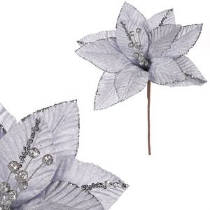 Vánoční růže - sametový květ, barva světle modrá