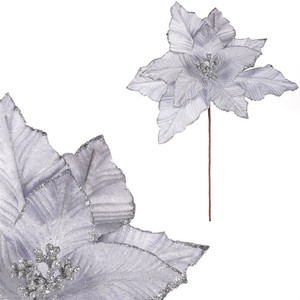 Vánoční růže - sametový květ, barva stříbrná