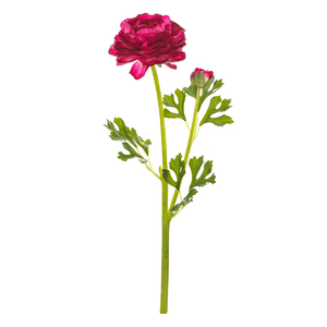 Ranunculus - umělý řezaný, květ s poupětem, fialový