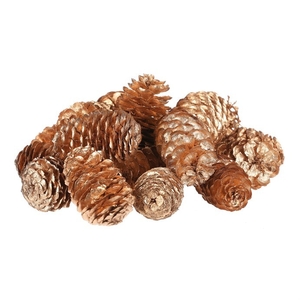 Šišky - pravé smrkové, zlatě barvené, cena za balení (18 ks)