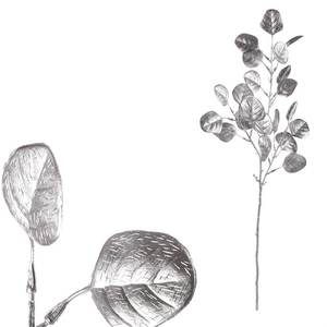 Lunárie - umělá větev, barva stříbrná matná