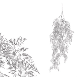 Kapradí - umělý převis, barva stříbrná matná