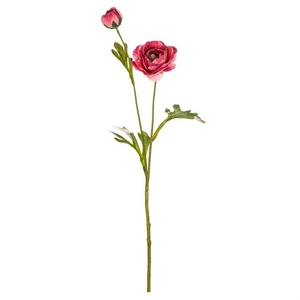 Ranunculus - umělý řezaný, barva tmavě růžová