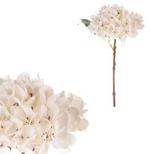 Hortenzie - umělá řezaná, světle krémová