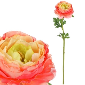 Ranunculus - umělá řezaná květina, barva růžovo-žlutá