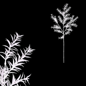 Asparagus - umělá větev, bílá se třpytkami