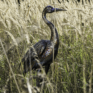 Volavka - 115 cm, kovová dekorace, měděná s barevnými skvrnami