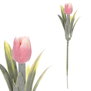 Tulipán mini - zápich, růžový, omrznutý, cena za 1 ks