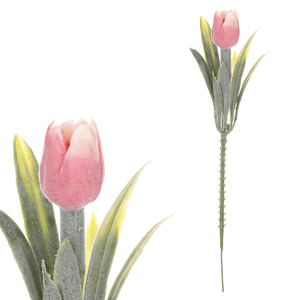 Tulipán mini - zápich, růžový, omrznutý, cena za 1 ks