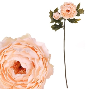 Ranunculus - umělý řezaný, 2 květy, krémový