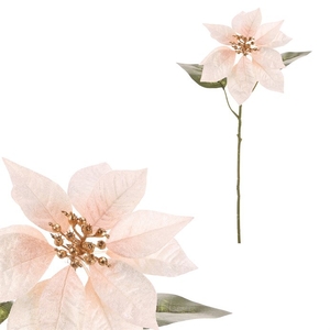 Vánoční růže - umělá řezaná květina, krémovo-zlatá