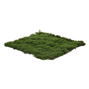 Mech - umělá přízdoba, koberec 50 x 50 cm, tm. zelená