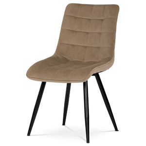 Jídelní židle, potah v krémovém sametu, kovové podnoží v černé práškové barvě