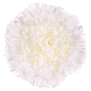 Karafiát, barva bílá. Květina umělá vazbová. Cena za balení 12 ks