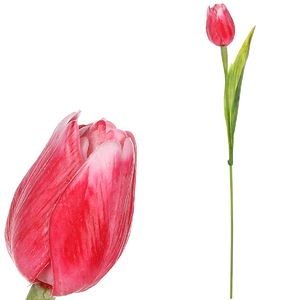 Tulipán plastový - řezaná květina, červeno-bílá, cena za 1 ks