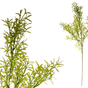 Asparagus - umělá větev, barva zelená