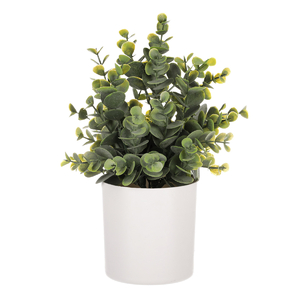 Buxus v bílém obalu - umělý, barva zelená