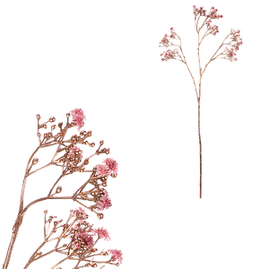 Gypsophila - s pozlacením, růžová kvítka
