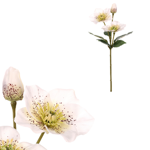 Čemeřice - umělá řezaná, bílé květy