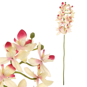 Orchidej drobnokvětá - umělá řezaná, krémovo-růžová