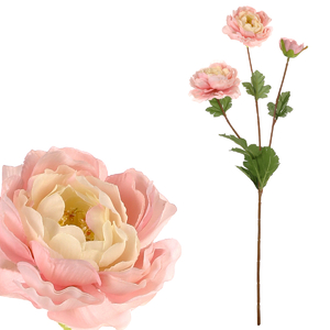 Ranunculus - umělá řezaná květina, světle růžová