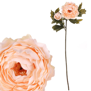 Ranunculus - umělý řezaný, 2 květy, krémový