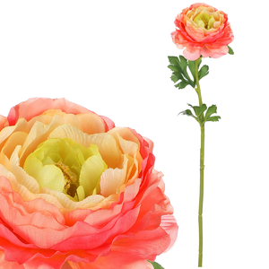 Ranunculus - umělá řezaná květina, barva růžovo-žlutá