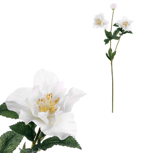 Čemeřice - umělá řezaná, 3 květy, bílá