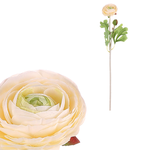 Ranunculus - umělá řezaná květina, krémová