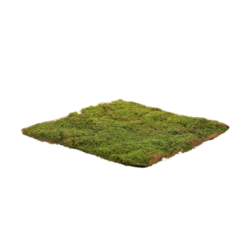 Mech - umělá přízdoba, koberec 50 x 50 cm, zelená