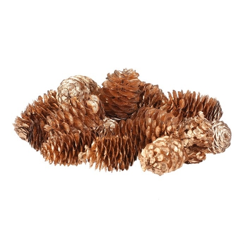 Šišky - pravé smrkové, zlatě barvené, cena za balení (18 ks)