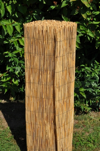 Rohož plotová rákos 150x500 cm