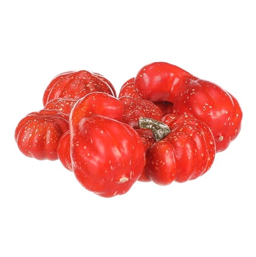 Dýně plastová - červená, různé tvary, cena za balení (9 ks)