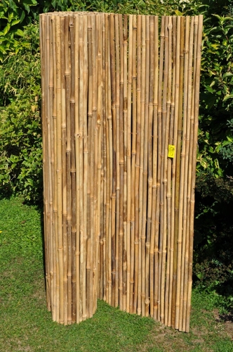 Bambusový plot 150x300 cm