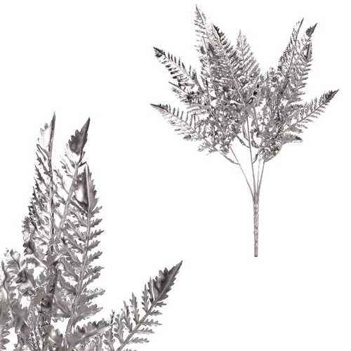 Kapradí v trsu, barva stříbrná.