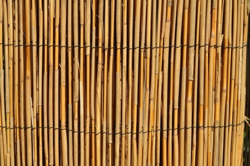 Plotová rohož rákos 180x500 cm