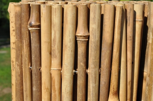 Bambusový plot 150x300 cm