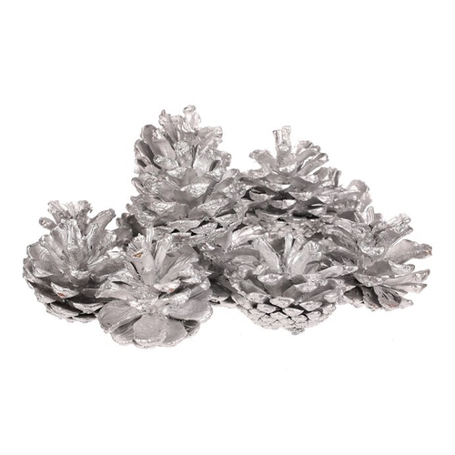 Šišky - pravé borovicové, stříbrné, cena za balení (12 ks)