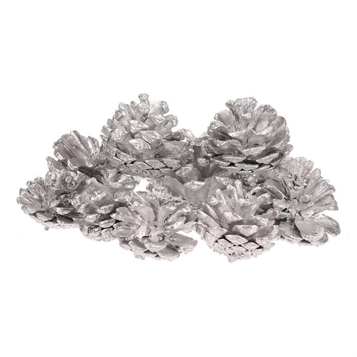 Šišky - pravé borovicové, stříbrné, cena za balení (12 ks)